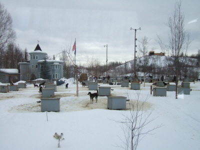 Kennel