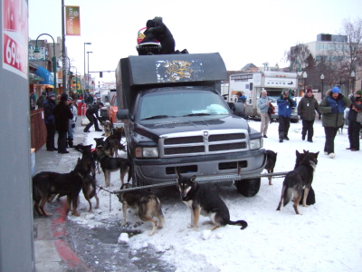 Dogs with truck.