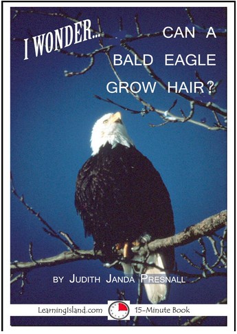 Bald Eagle.