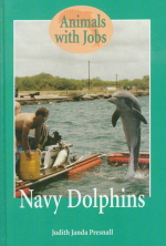 Navy Dolphins